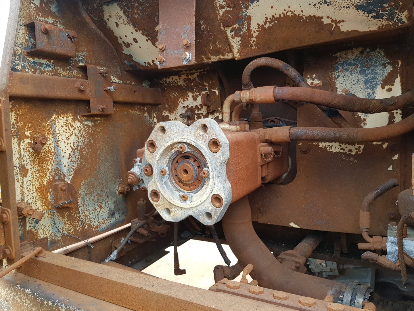 ZM008636_07.jpg